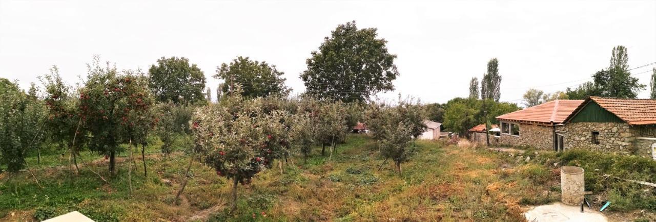 Villa Lila Dolno Dupeni Eksteriør billede
